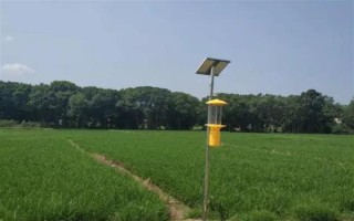 罗汉果的种植方法，种植前需进行土地深翻和施肥