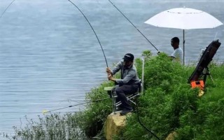 0.3号子线可以飞多重的鱼，能够直接提上2两的小鱼