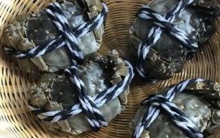 24小时之内死了的螃蟹能不能吃，需要根据保存条件决定