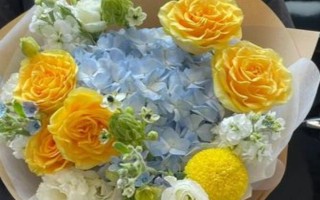 黄玫瑰的花语，寓意已逝的爱、等待的爱等