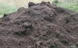 白菜的产地，现全国各地普遍都有栽培