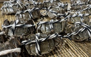 大闸蟹有哪些形态特征，头胸甲为圆方形