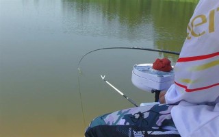 六月份能钓鲤鱼，六月份的垂钓效果比较好