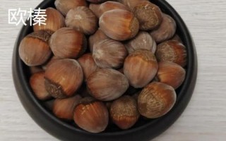 榛子的种植前景,市场需求大、种植后收益较可观