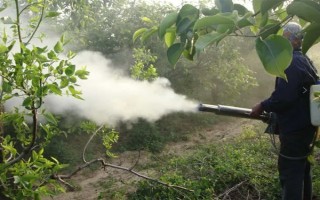 烯禾啶怎么使用，兑水后进行喷雾