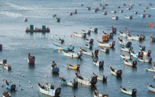 为什么舟山渔场渔业资源丰富，寒流与暖流交汇鱼群较为集中