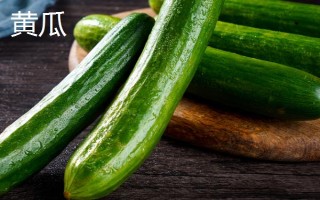 哪些蔬菜适合在3月份种植,包括空心菜、丝瓜、苋菜等品种