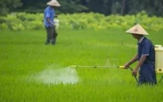 秋天种苜蓿能不能过冬，能过冬但要施足底肥