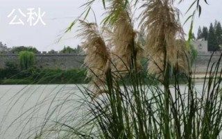 怎么区分公秋和母秋，公秋是指农历6月份入秋、母秋是指农历7月份入秋