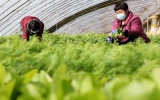 我国目前农业生产的主要经营方式，是家庭联产承包责任制