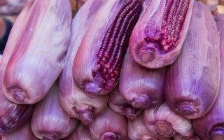 有哪些紫色菜，常见的有茄子、紫甘蓝、洋葱等