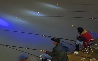冬天夜钓鲤鱼怎么选钓点，最好根据水域来选择