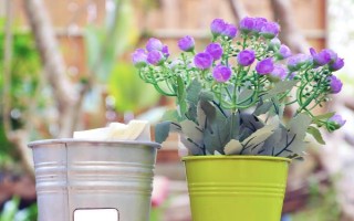 风铃花开败后怎如何修剪，要先将植株上所有的残花剔除