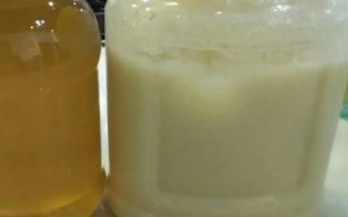 真蜂蜜会不会结晶，真蜂蜜都具有结晶的特性