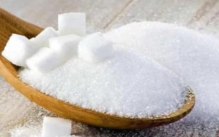 新手饲养仓鼠要准备什么，准备好饲养笼、水壶、食盆等物品