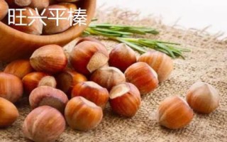 我国榛子的产地,东三省为主要的产区