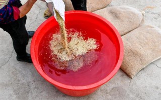 恶霉灵如何使用，可浸种、拌种等