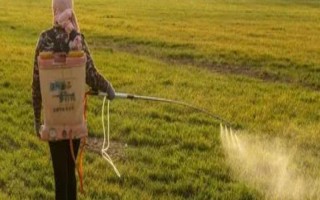 草铵膦是百草枯吗，二者不是同一种农药