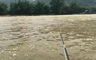 如何垂钓产卵期的鲫鱼，早上作钓更容易上钩