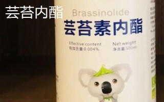 14-羟基芸苔素甾醇与芸苔内酯的区别,来源、安全性和技术性等均不同