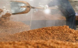 一斤高粱出多少酒，一般可以酿出白酒320g