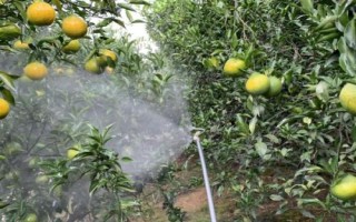 如何预防果树倒春寒,遮盖塑料薄膜可阻挡寒气入侵