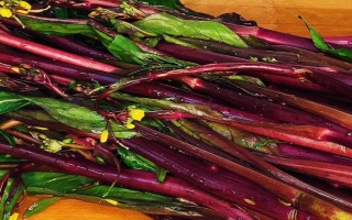 有哪些紫色菜，常见的有茄子、紫甘蓝、洋葱等