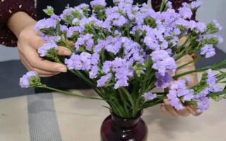 勿忘我的盆栽方法，开花前追施磷钾肥可促进花朵开放