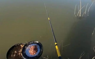 四月钓鱼钓深还是浅，一般来说都是钓浅
