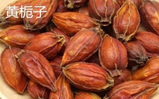 香辛料的分类,不同香料的作用不同