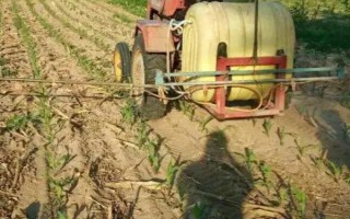 怎么防治玉米的虫害，轮作倒茬、清洁田园可减少初侵染源