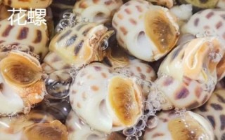 食用螺品种,田螺在各地湖泊中随处可见