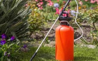 1克吡虫啉兑多少斤水，25%吡虫啉1g一般可兑水3000ml