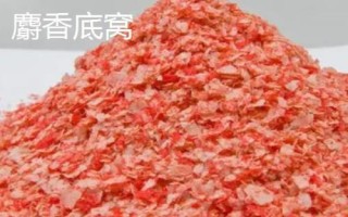 用什么料打窝能吸引较多的大鲫鱼,酒米对于鲫鱼具有较强的引诱力