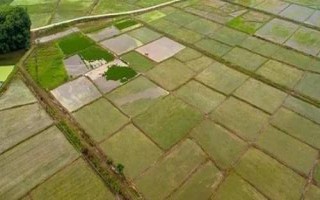 基本农田和一般耕地的意思，前者是指被总体规划不得占用的耕地、后者是指经常耕耘的土地