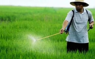 杀虫单的使用注意事项，不得与碱性农药等物质混用