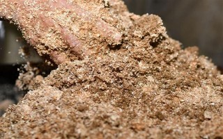 氮肥的自制方法，参考以下2种方式