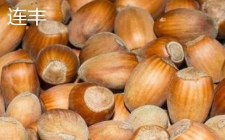 榛子的种植前景,市场需求大、种植后收益较可观