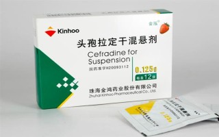 犬猫上呼吸道感染怎么治疗和护理，根据引发原因采取不同的解决措施
