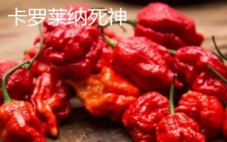 世界最辣的辣椒排行榜，大家吃过哪几种