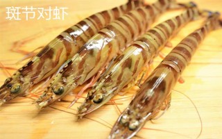 对虾和明虾的区别,明虾又叫做中国对虾