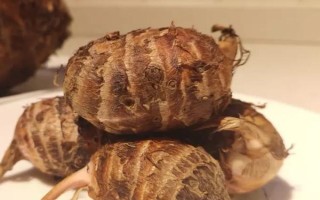 广芋的保存时间，放在冰箱中可以保存8-10天左右