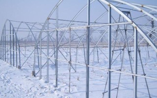 养鸭大棚怎么建，建议大棚的朝向为东西方向