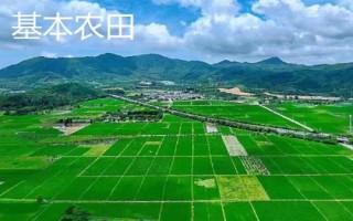 基本农田和一般耕地的意思，前者是指被总体规划不得占用的耕地、后者是指经常耕耘的土地