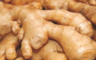 生姜产于哪里，在我国主产于湖南、四川、广西等省份