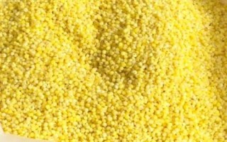 中国最好的小米产地在哪里，蔚县、沁州、龙山等地的小米都很有名