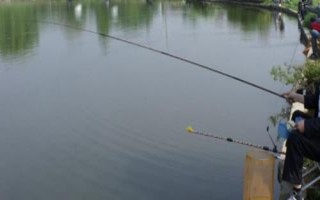 春季钓鱼适宜水深，连续高温要钓浅