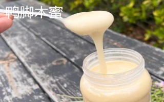 鸭脚木蜜和荔枝蜜对比，蜜源、结晶状态和价格均不同