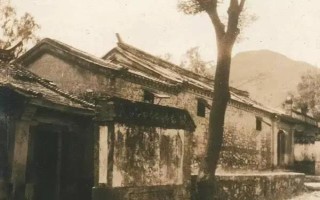 茶叶的用途，可饮用还可做花肥等