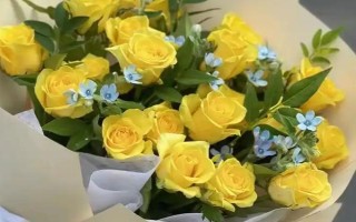 黄玫瑰的花语，寓意已逝的爱、等待的爱等